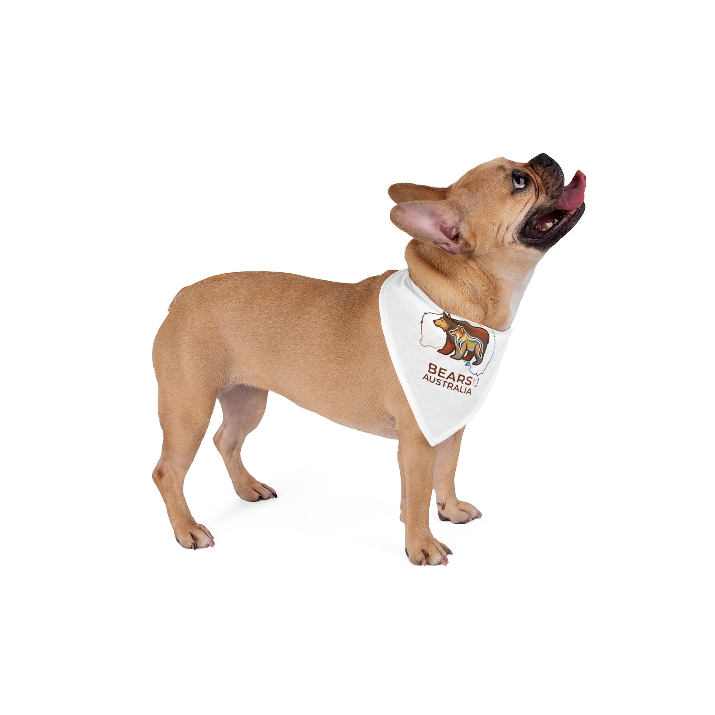 Trendy Bears Australia Map Graphic Dog Bandana