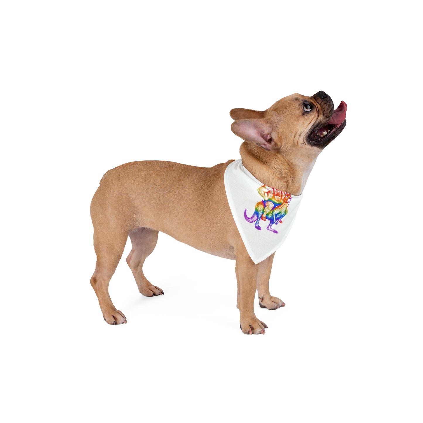 Contemporary Mascot Paw Rainbow Print Puppy Scarf